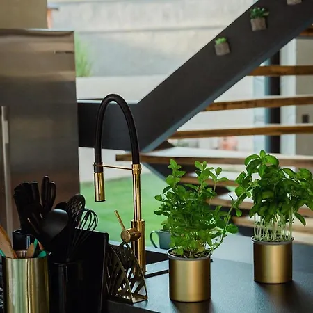 Willa Luxury Pearl 1 With Infinity Pool Baška